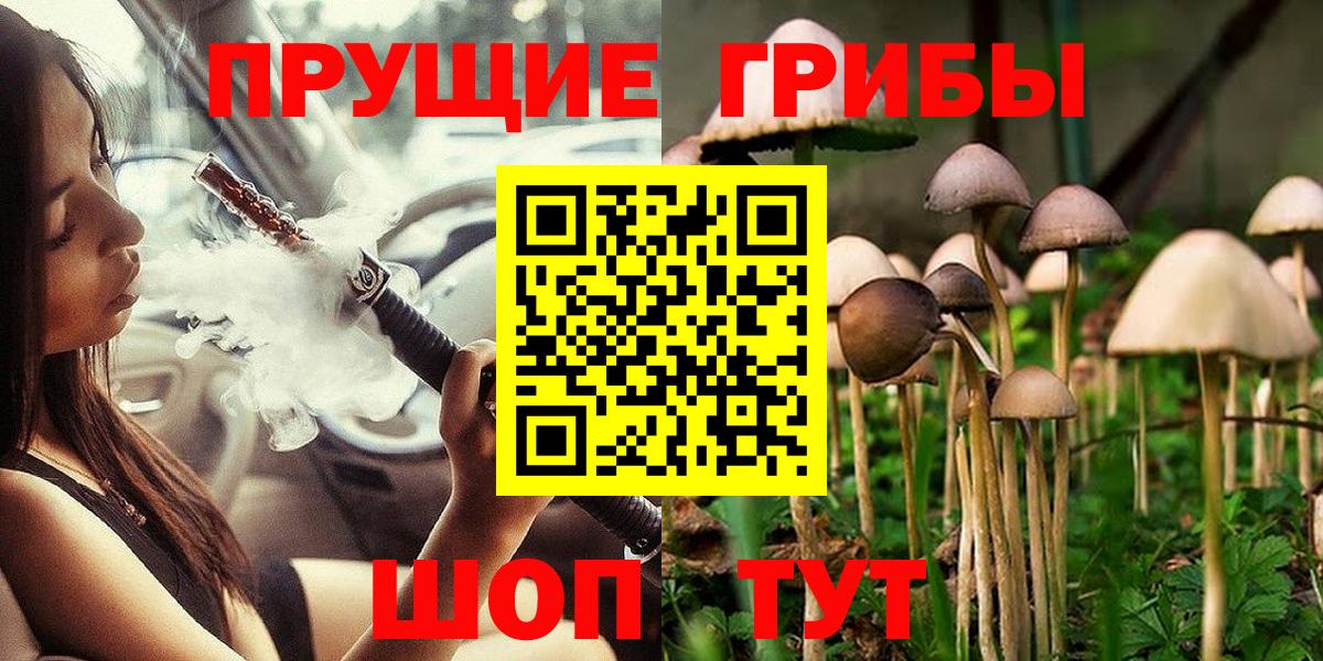 Псилоцибиновые грибы Magic Shrooms  Вход с VPN  Заволжье 