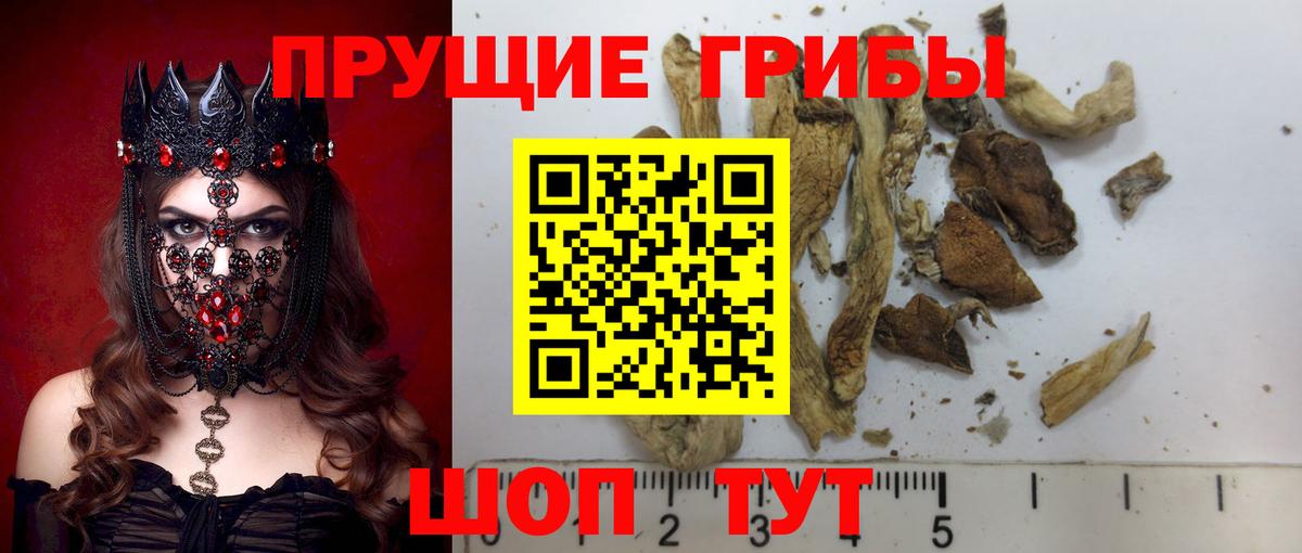 Галлюциногенные грибы GOLDEN TEACHER Заволжье